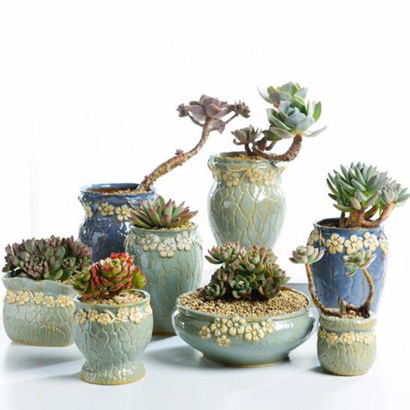 Echeveria Succulent - Maceta de plantas suculentas para decoración,