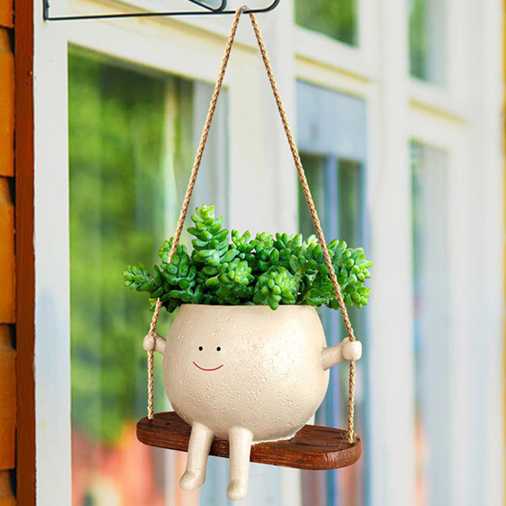 Cestas para colgar plantas, ma - Echeveria Succulent reseña y precio