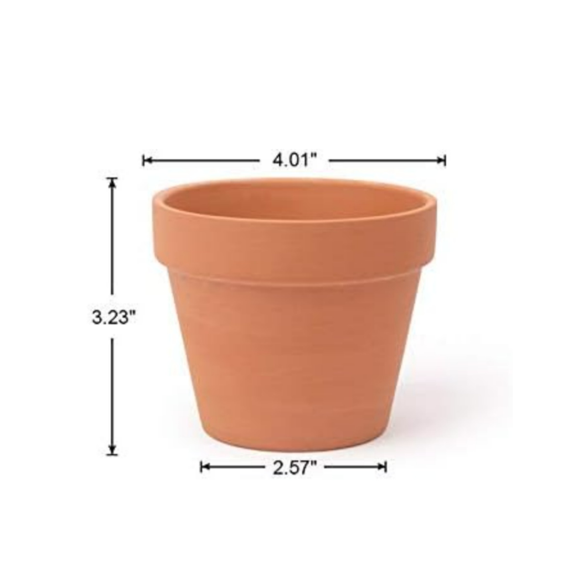 Macetas de terracota de 4 pulg - Echeveria Succulent reseña y precio