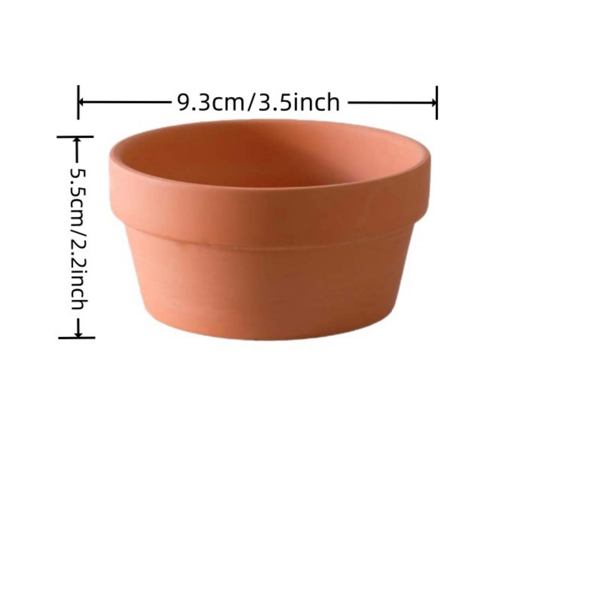 6 uds macetas de terracota Bul - Echeveria Succulent reseña y precio