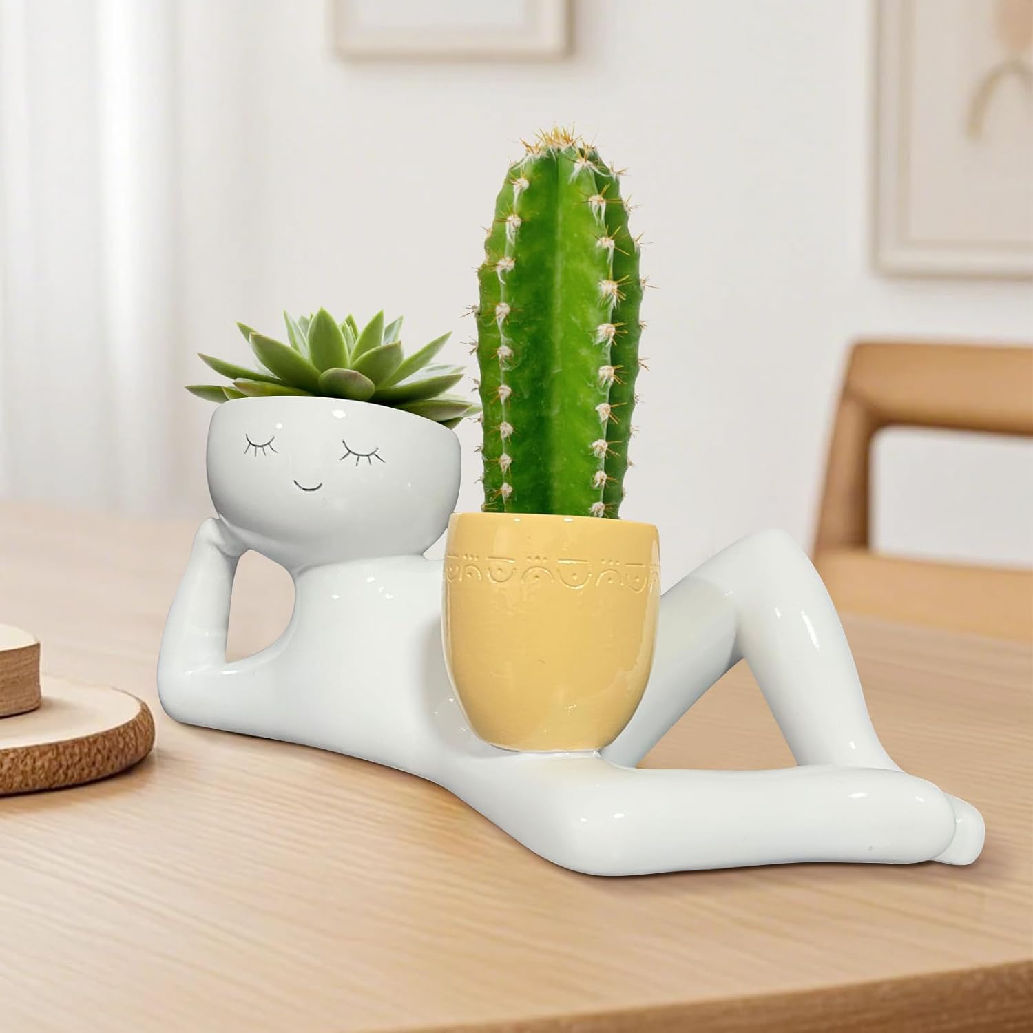 Maceta Divertida con Diseño de - Echeveria Succulent reseña y precio