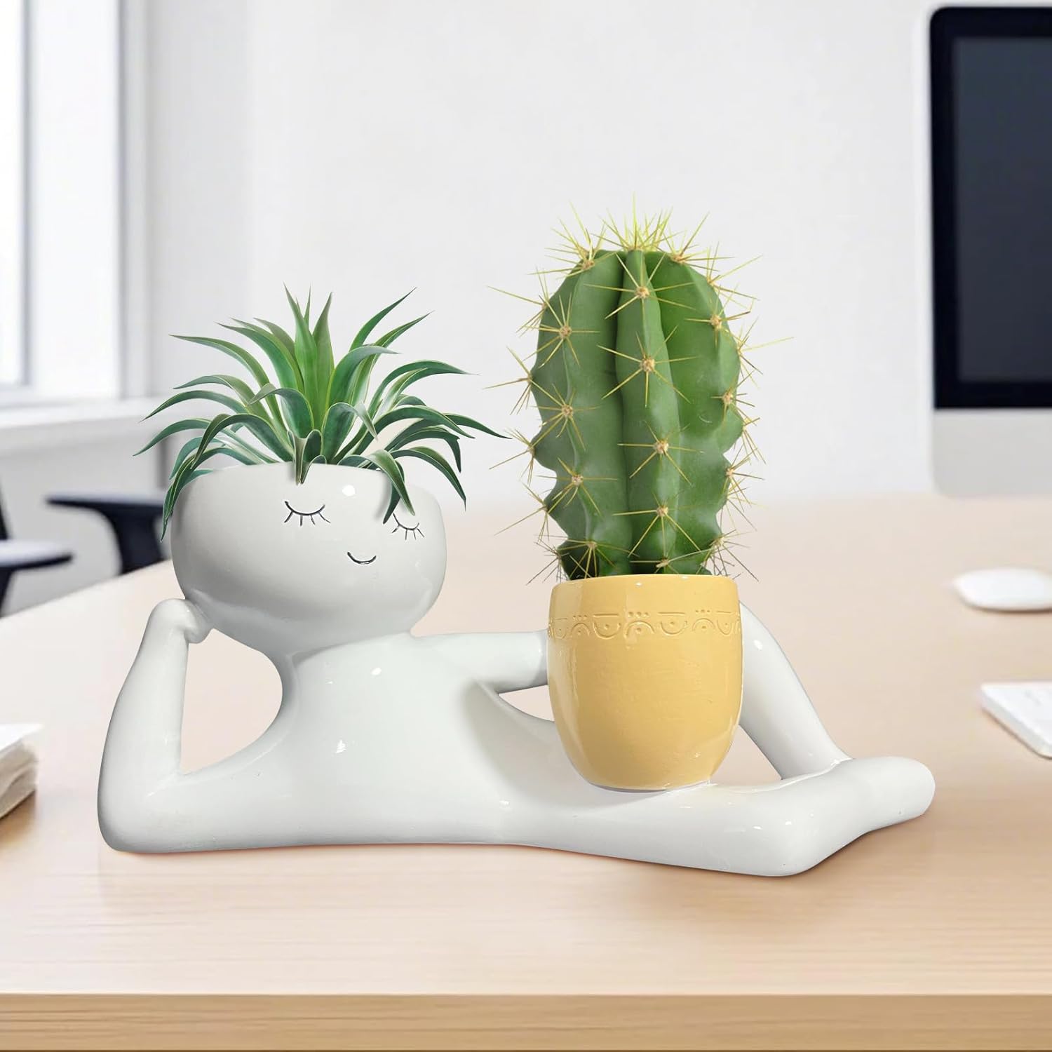 Maceta Divertida con Diseño de - Echeveria Succulent reseña y precio