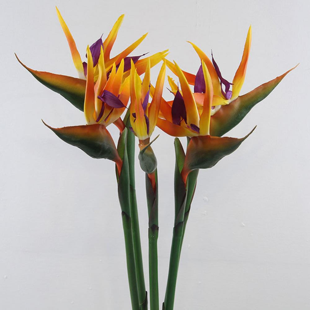 1 unidad de 80cm, flor de pája - Bird Paradise Strelitzia reseña y precio