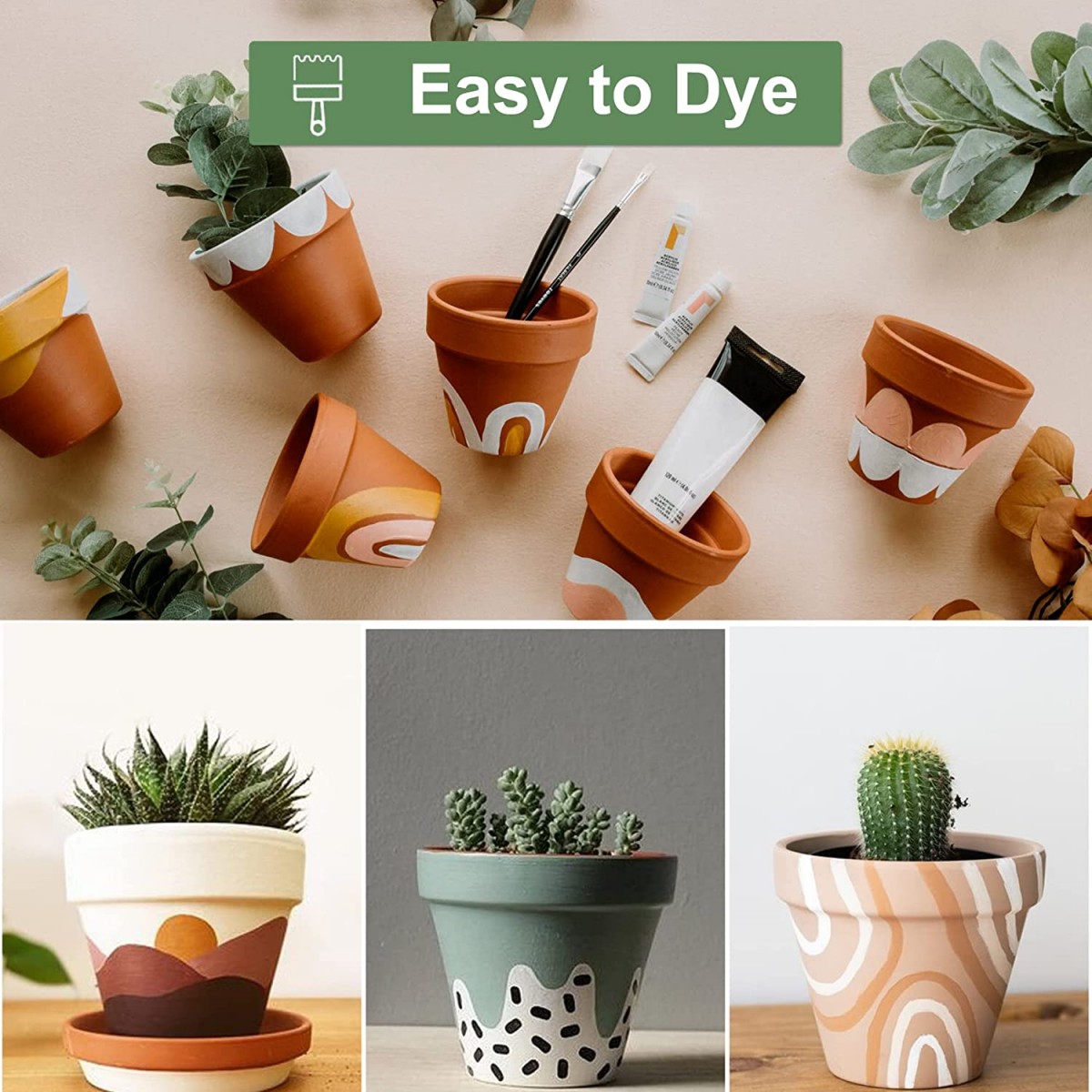 16 Uds. Macetas de cabaña de 1 - Echeveria Succulent reseña y precio