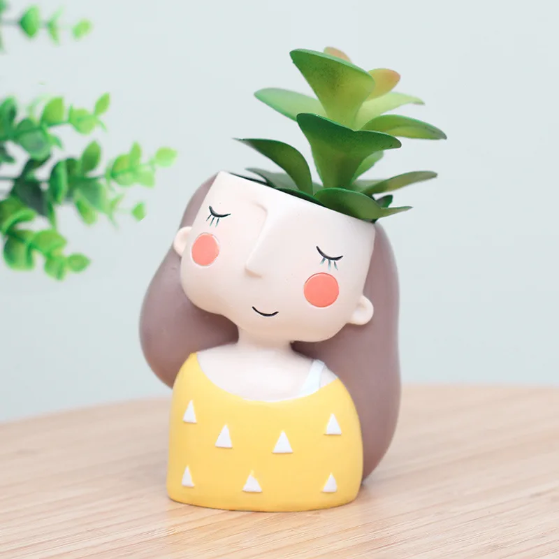 Maceta de flores de chica enca - Echeveria Succulent reseña y precio