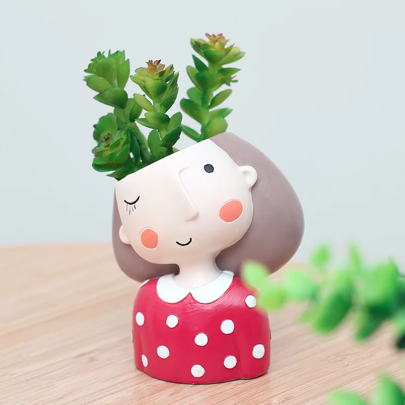 Maceta de flores de chica enca - Echeveria Succulent reseña y precio