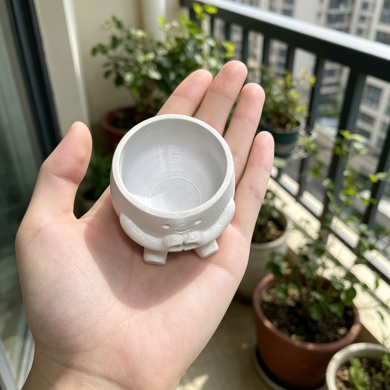 1 Maceta con Forma de Corazón, - Echeveria Succulent reseña y precio