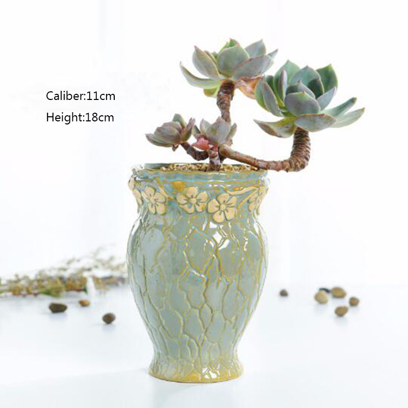 Maceta de plantas suculentas p - Echeveria Succulent reseña y precio
