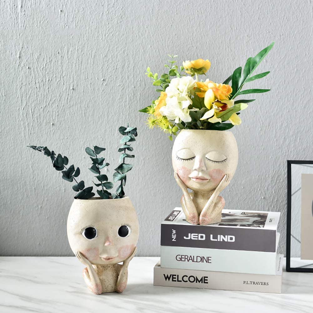 Macetero de flores con cabeza  - Echeveria Succulent reseña y precio